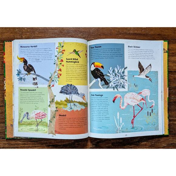 Incredible Animals Kids Book Hardbound Educational 8-12 Years Barefoot Books - Picture 10 of 11